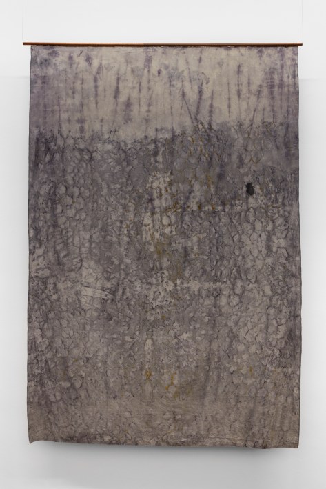 Forest Ghost – Beetle